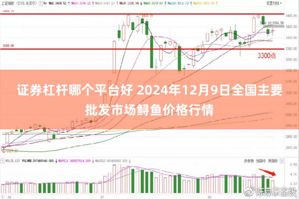 证券杠杆哪个平台好 2024年12月9日全国主要批发市场鲟鱼价格行情