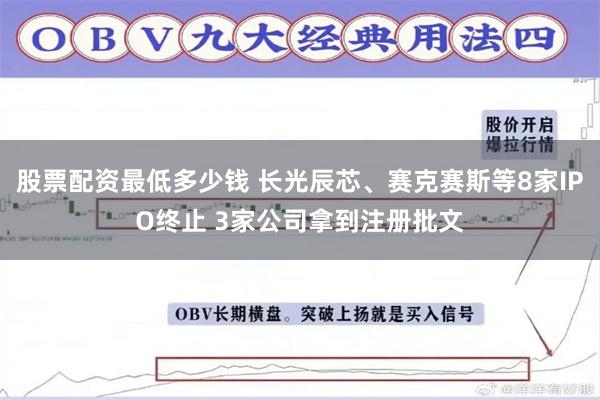 股票配资最低多少钱 长光辰芯、赛克赛斯等8家IPO终止 3家公司拿到注册批文