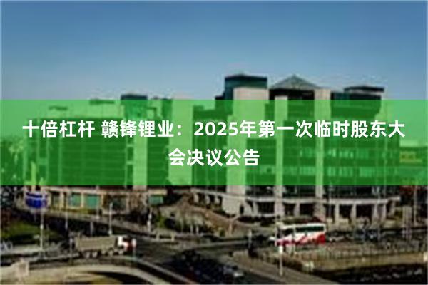 十倍杠杆 赣锋锂业：2025年第一次临时股东大会决议公告